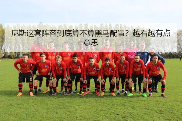 尼斯这套阵容到底算不算黑马配置？越看越有点意思