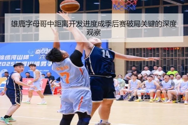 雄鹿字母哥中距离开发进度成季后赛破局关键的深度观察
